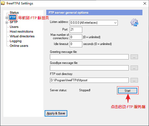 启动 FTP